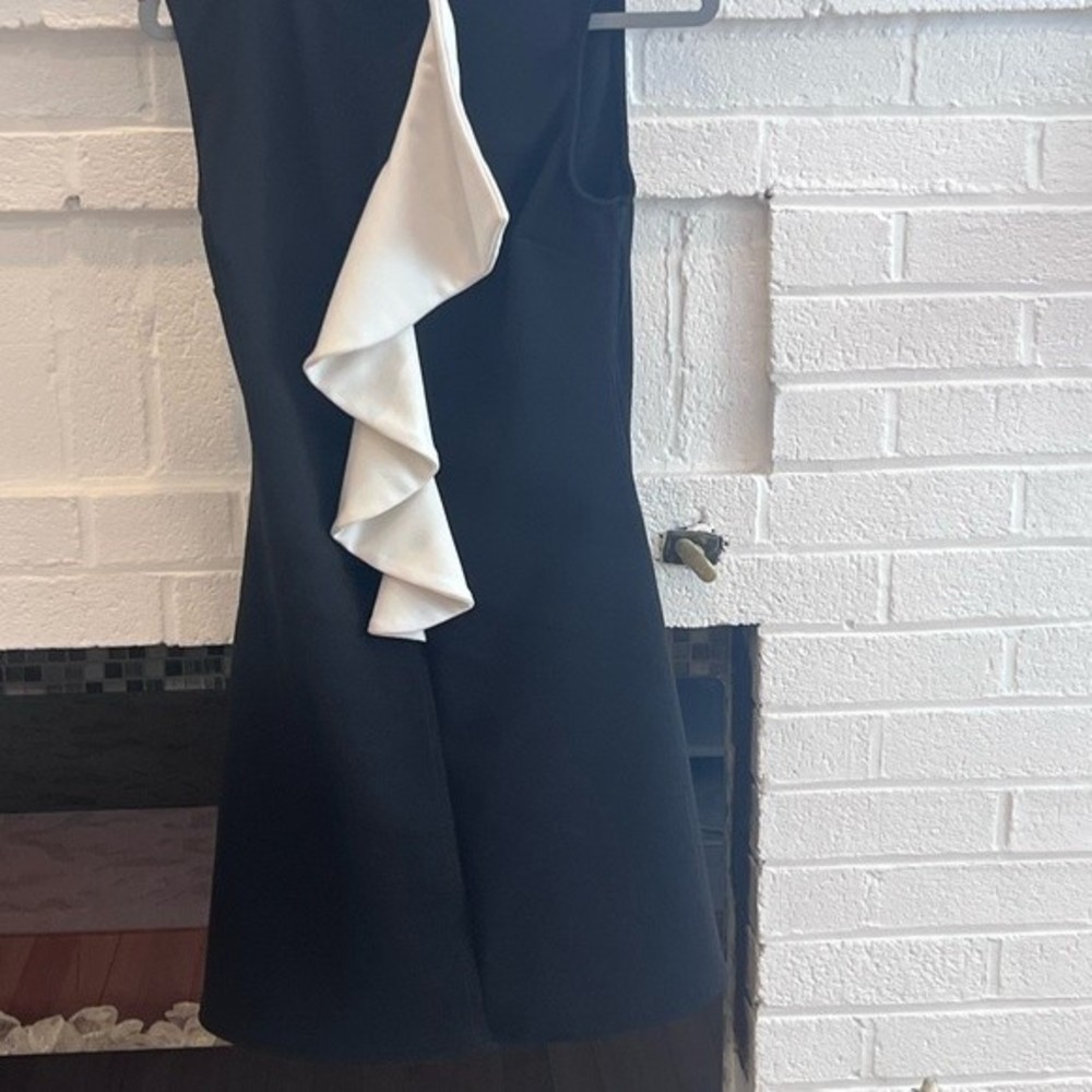Venus Dress Women’s Size Small Black with White Ruffle Sleeveless fitted Dress